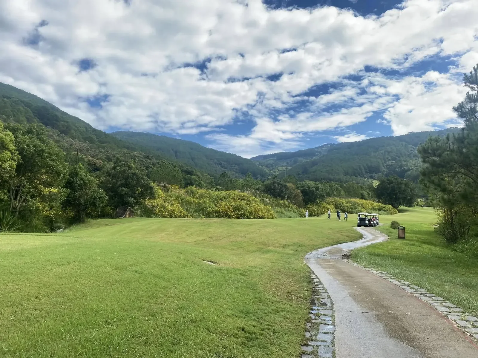 The Dalat at 1200 Country Club