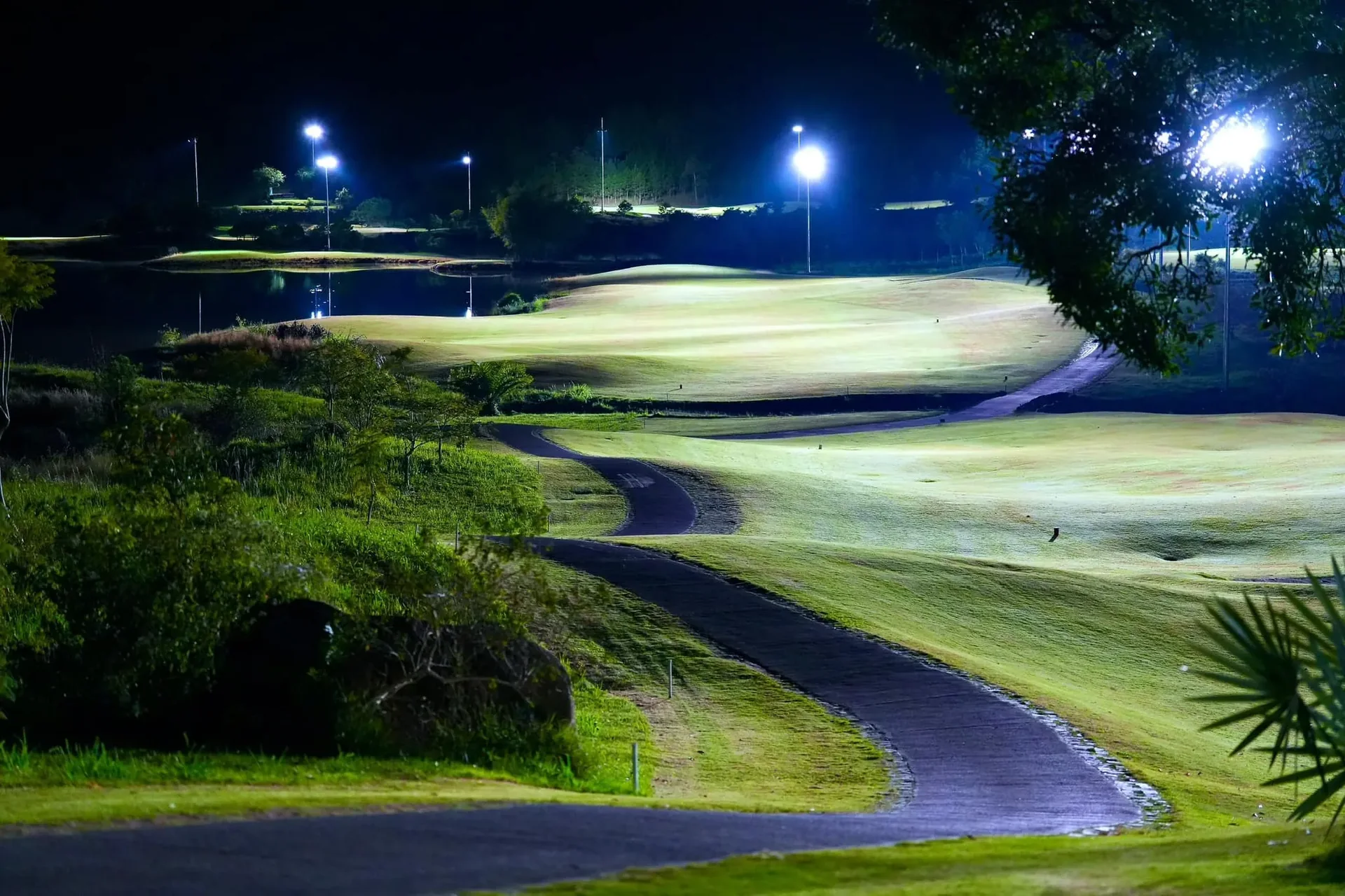 The Dalat at 1200 Country Club